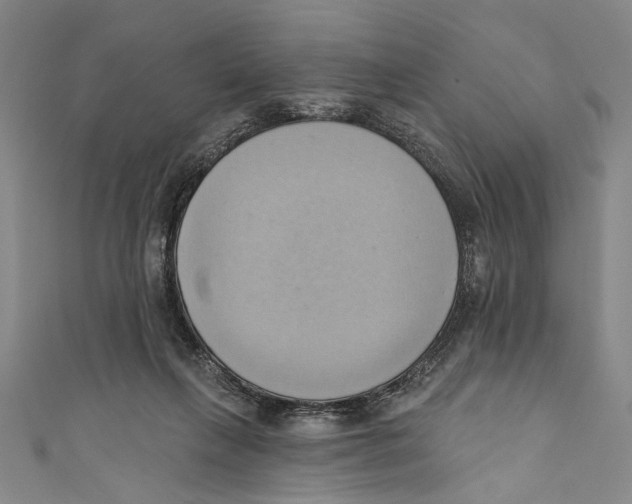 X0000110680263200907101133