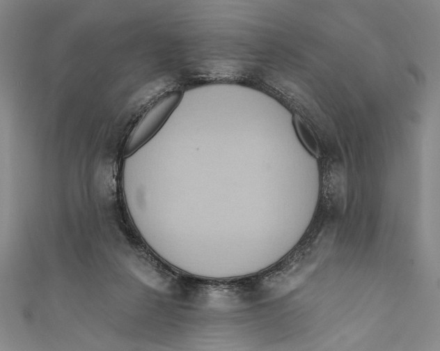 X0000110680264200907101133