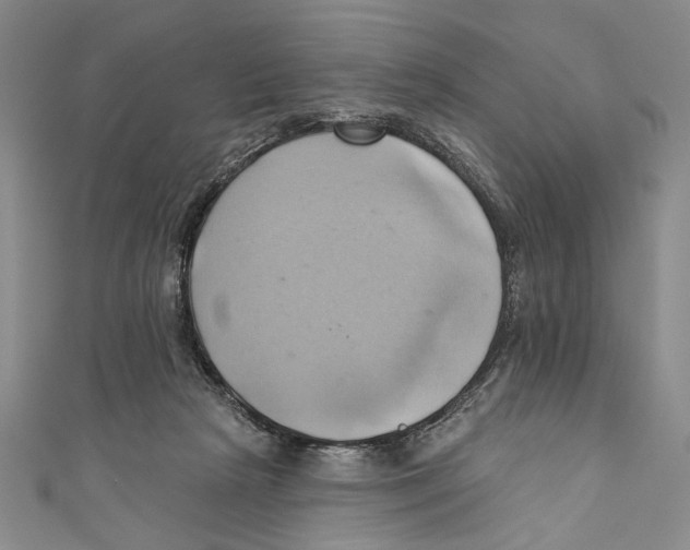 X0000110680265200907101133