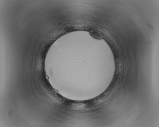 X0000110680266200907101133