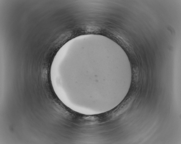 X0000110680269200907101133