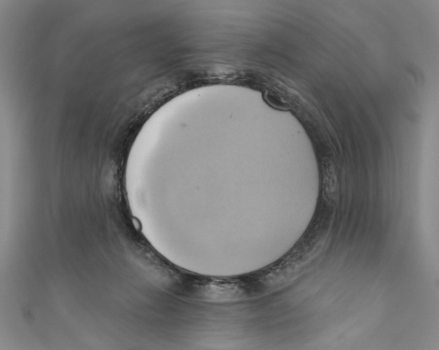 X0000110680270200907101133