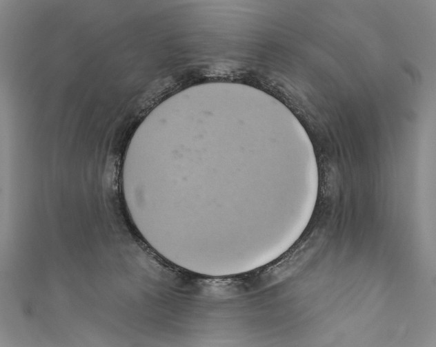 X0000110680273200907101133