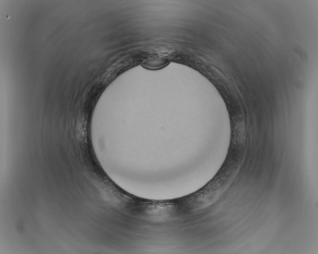 X0000110680274200907101133