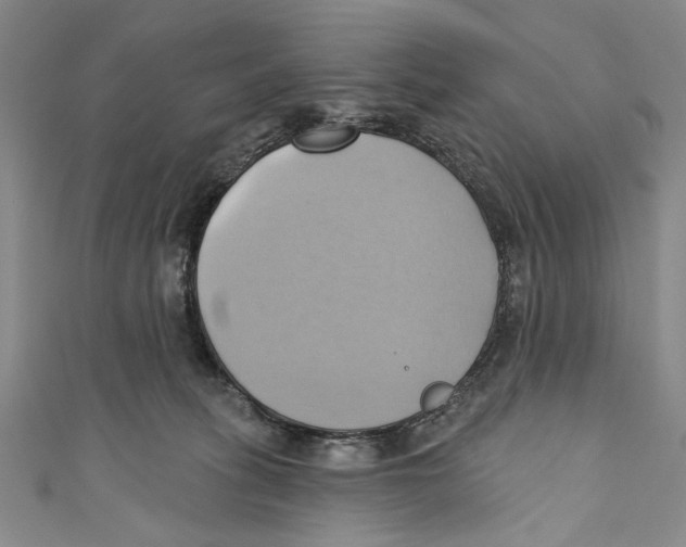 X0000110680275200907101133