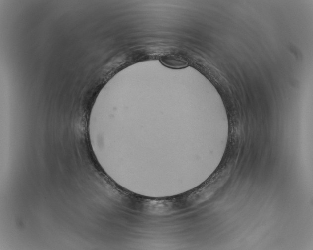 X0000110680277200907101133