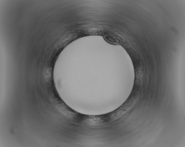 X0000110680278200907101134