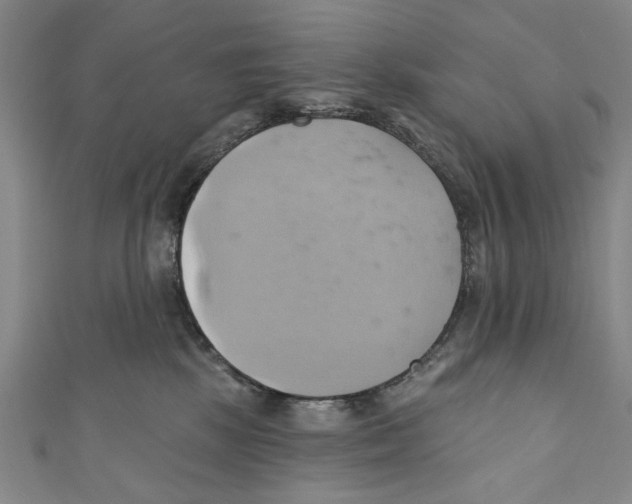 X0000110680281200907101134