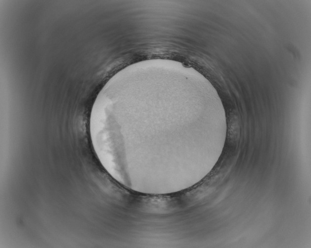 X0000110680282200907101134