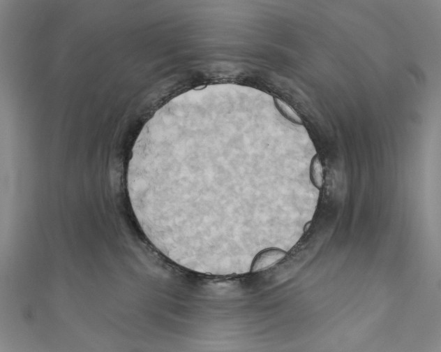 X0000110680283200907101134