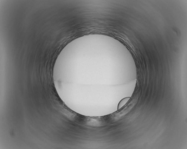 X0000110680285200907101134