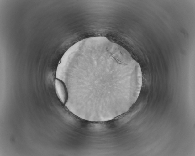 X0000110680286200907101134