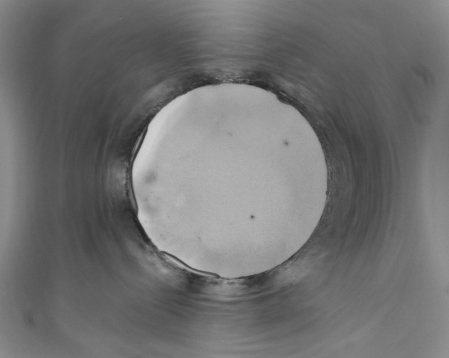 X0000110680288200907101134