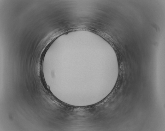 X0000110680290200907101133