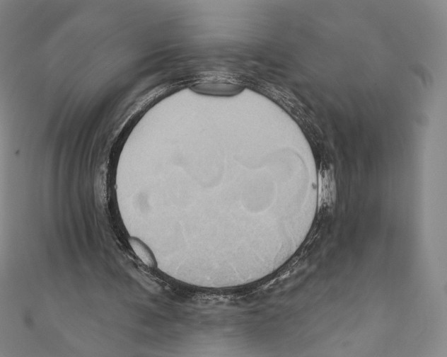 X0000110680291200907101133