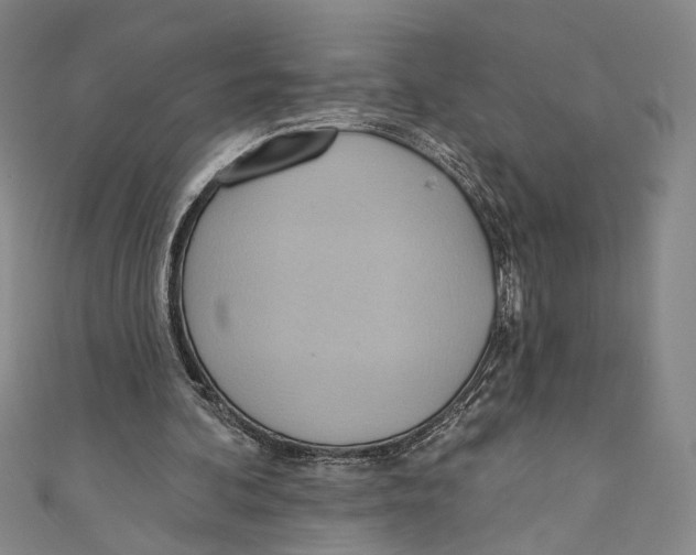 X0000110680292200907101133