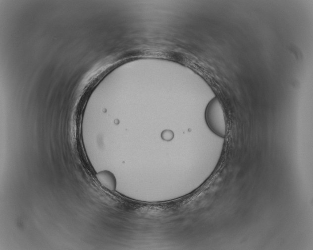 X0000110680294200907101133