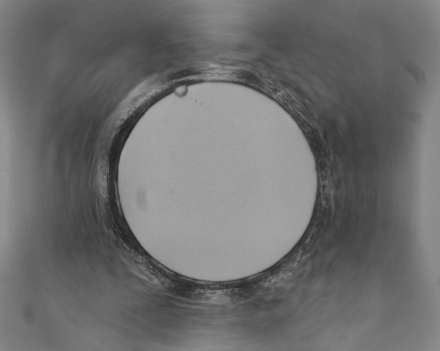 X0000110680295200907101133