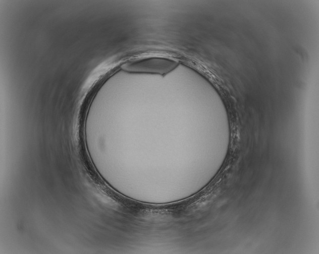 X0000110680296200907101133