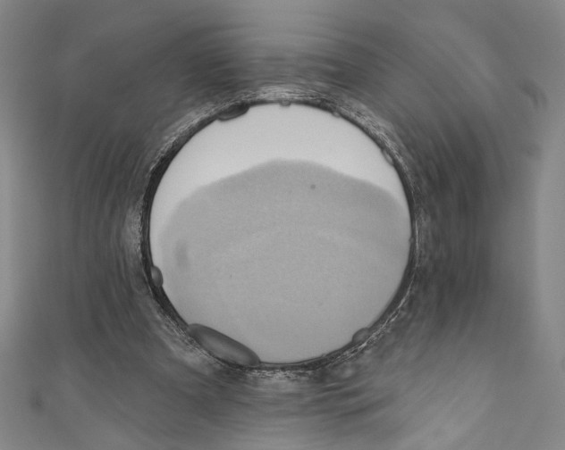 X0000110680297200907101133