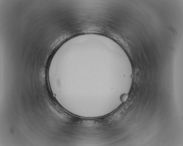 X0000110680298200907101133