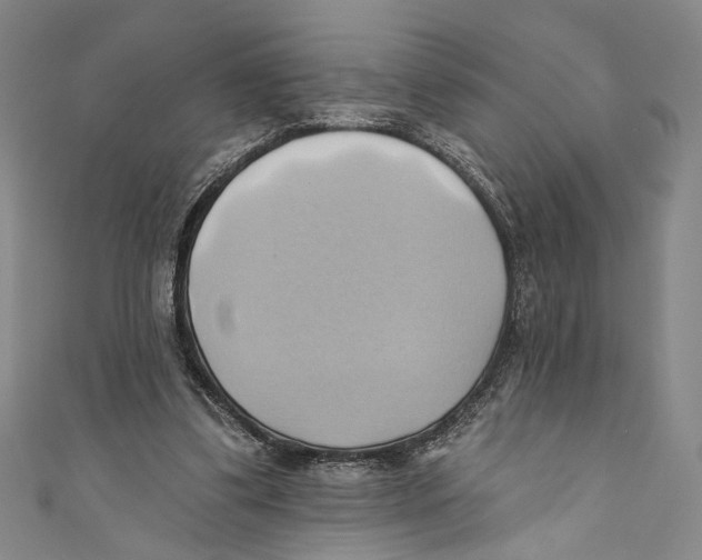X0000110680299200907101133