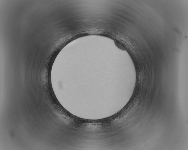 X0000110680303200907101133