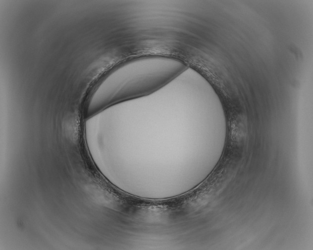 X0000110680304200907101133