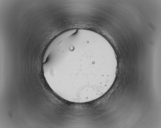 X0000110680305200907101133