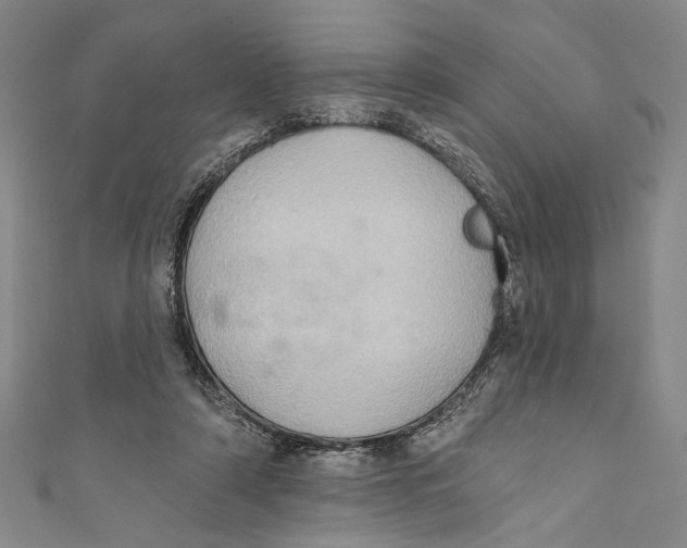 X0000110680306200907101133