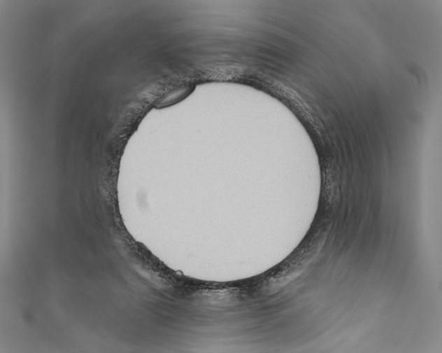 X0000110680307200907101133