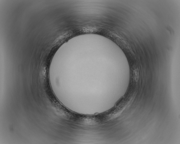 X0000110680308200907101133
