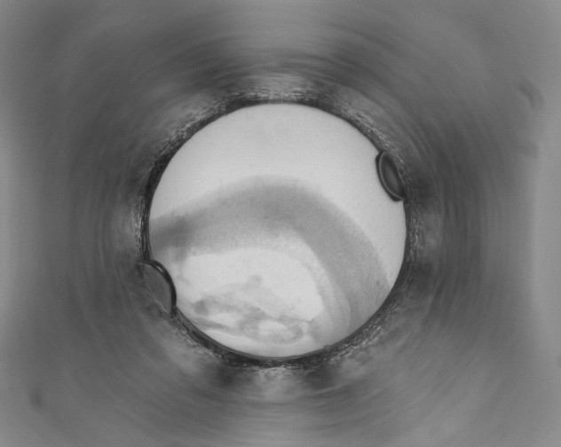 X0000110680309200907101133
