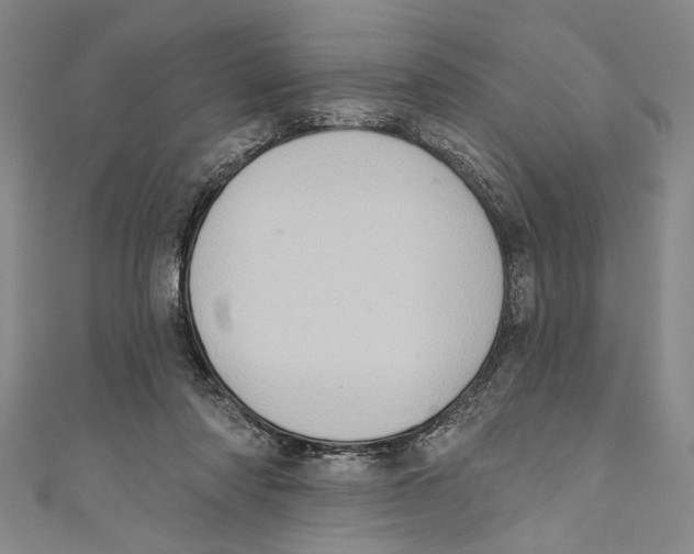 X0000110680310200907101133
