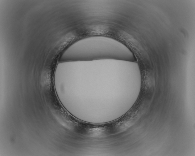 X0000110680312200907101133