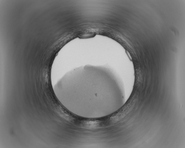 X0000110680313200907101133