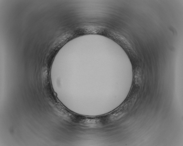 X0000110680314200907101133