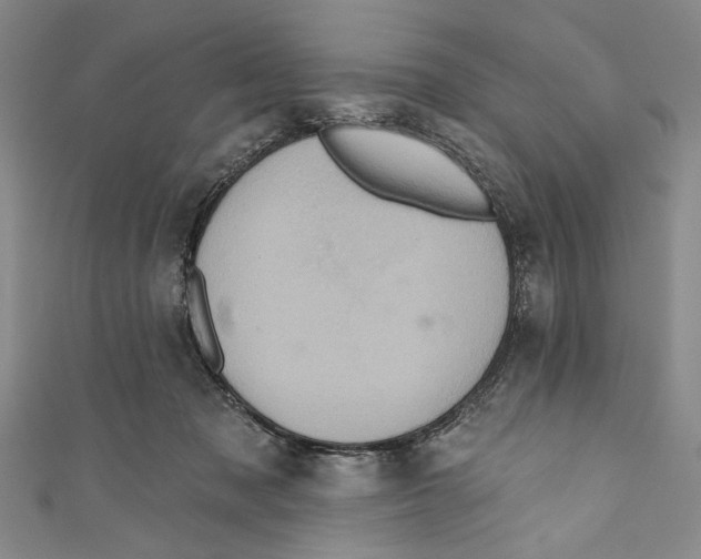 X0000110680317200907101133