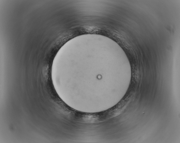 X0000110680319200907101133