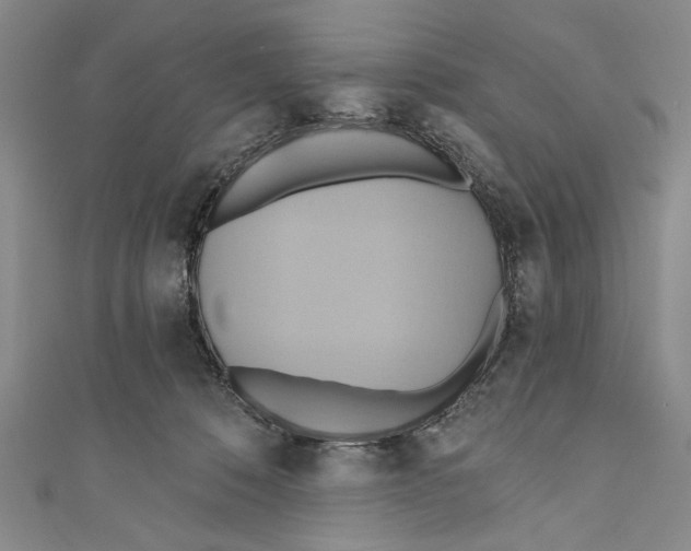 X0000110680320200907101133