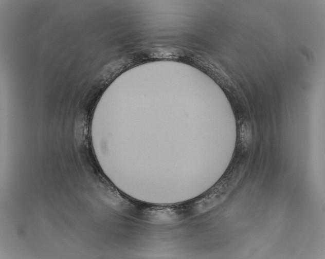 X0000110680322200907101133