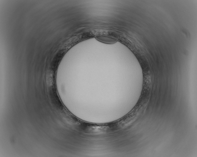 X0000110680323200907101133