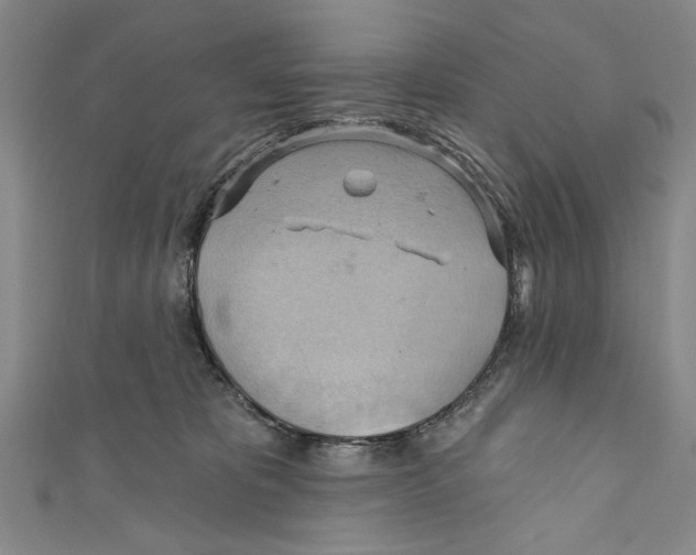 X0000110680325200907101133