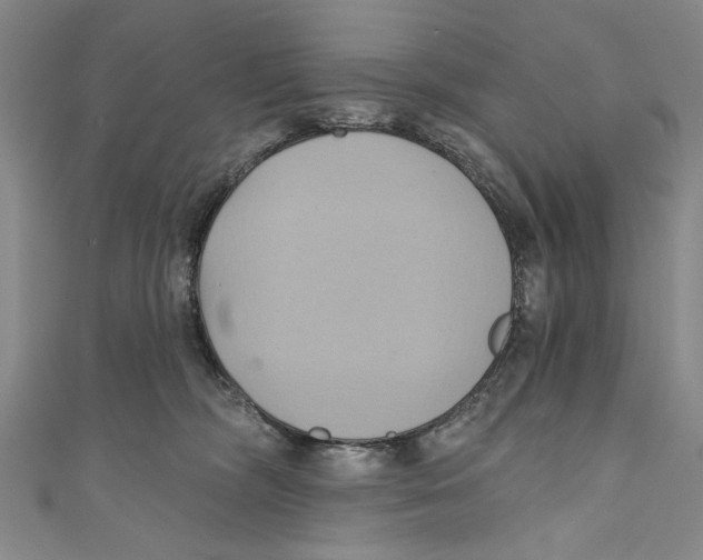 X0000110680326200907101133