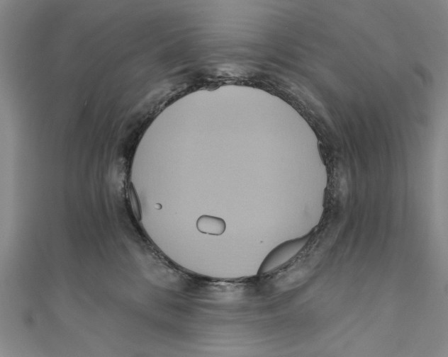 X0000110680328200907101133