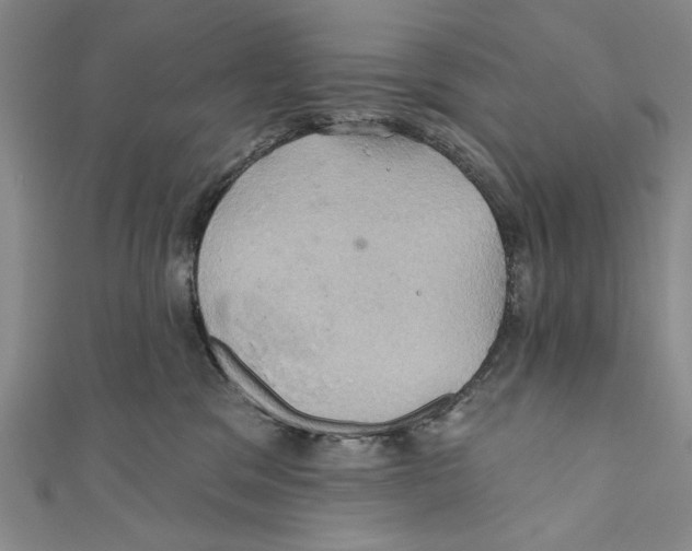 X0000110680329200907101133