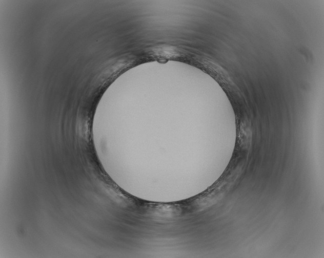 X0000110680330200907101132