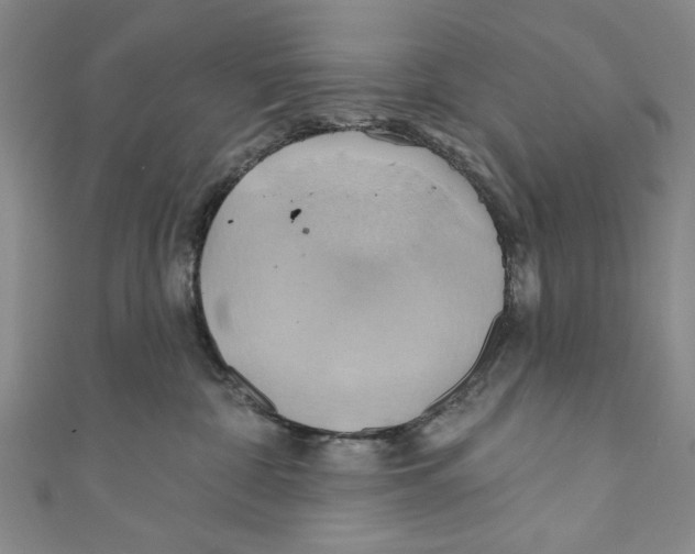 X0000110680332200907101132