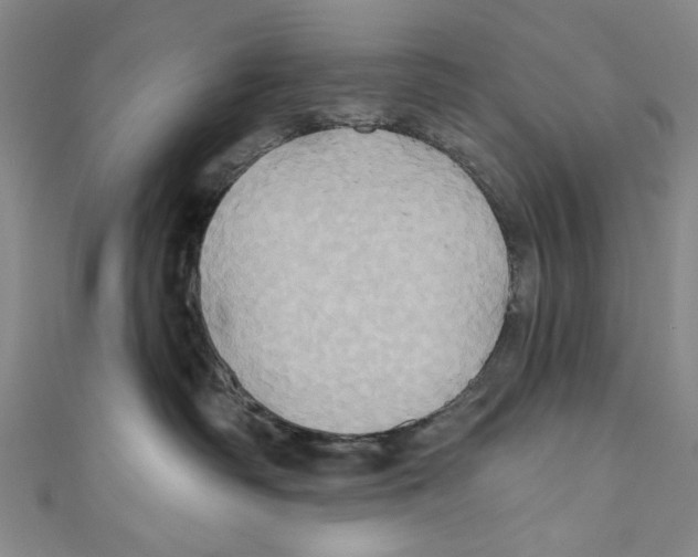 X0000110680334200907101132