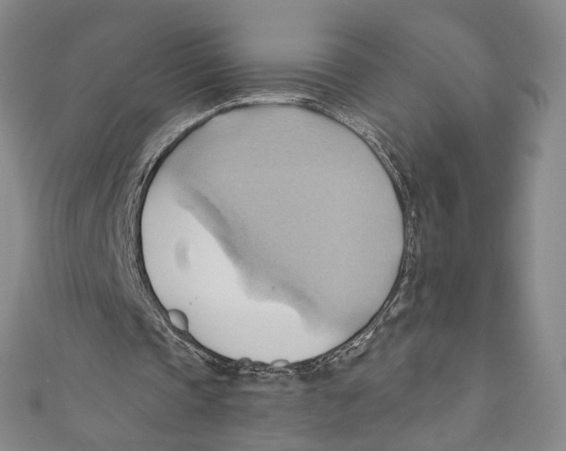 X0000110680337200907101132
